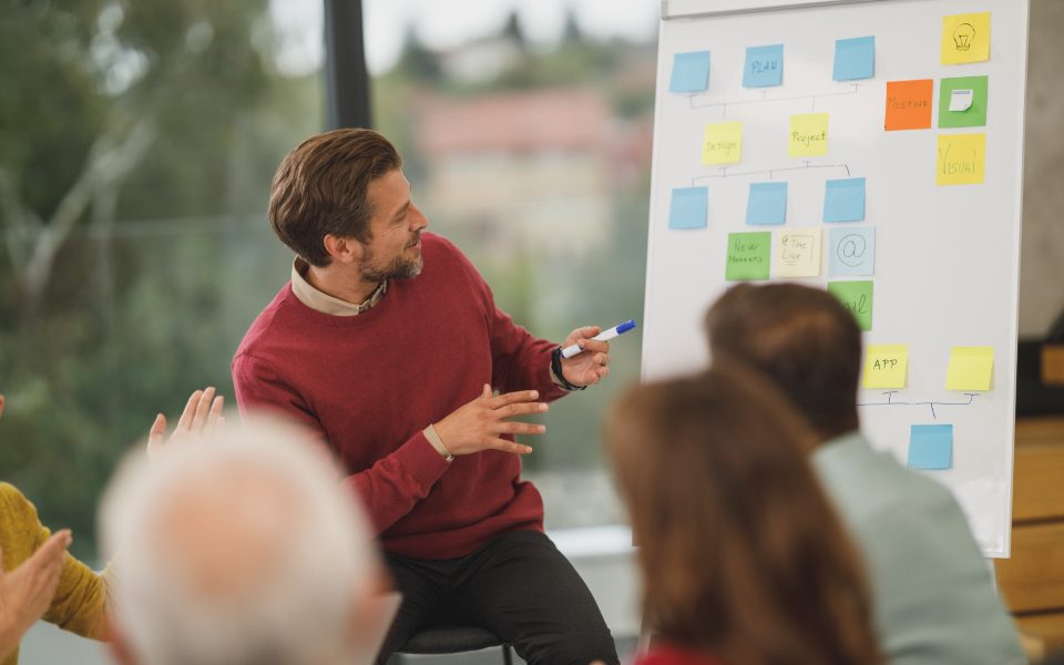 Consultant presenting a project plan to a team