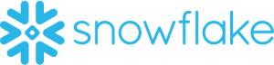 Snow Flow